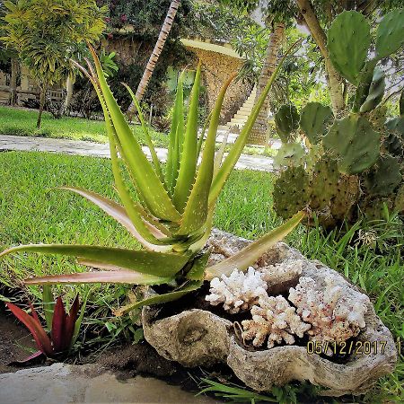 Fortamu Lady D House Watamu Dış mekan fotoğraf