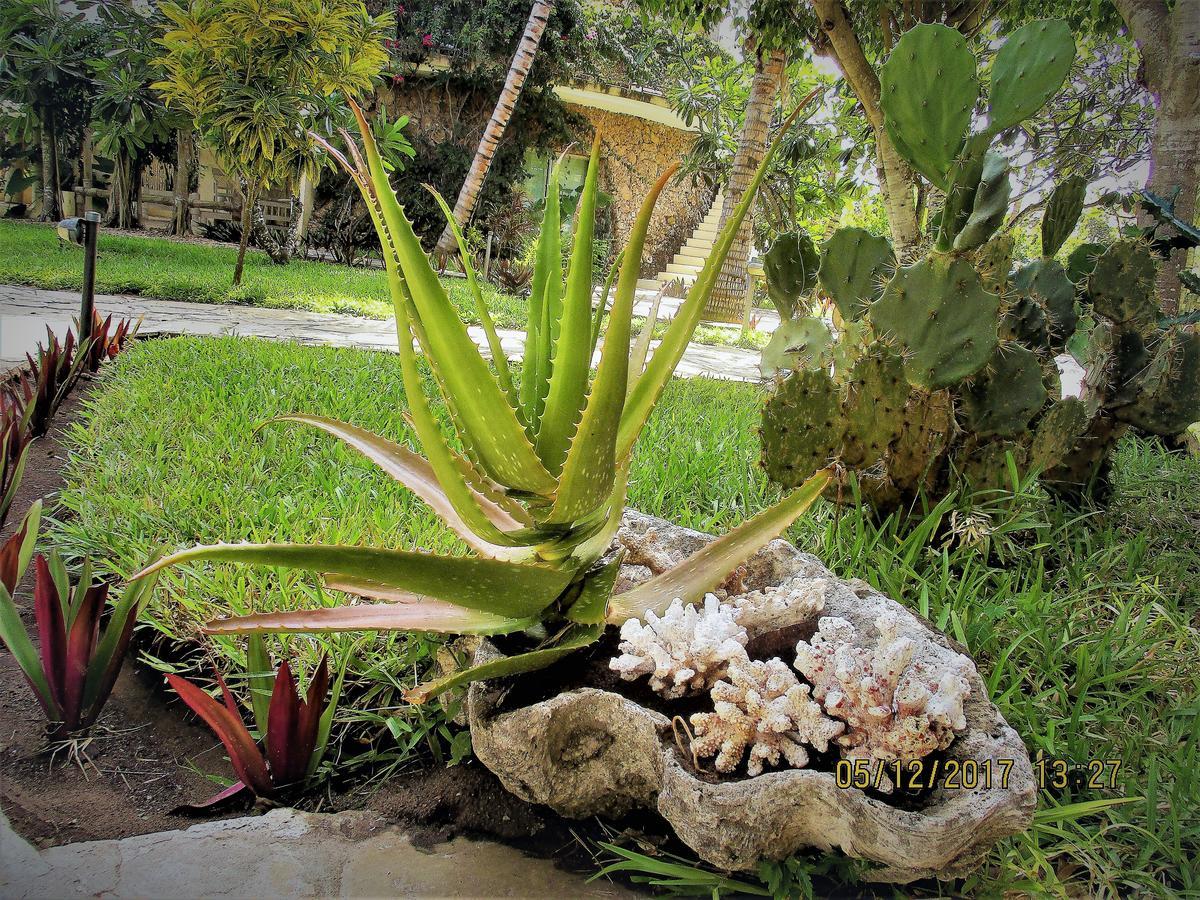 Fortamu Lady D House Watamu Dış mekan fotoğraf